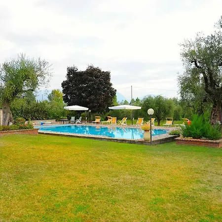 Degli Ulivi