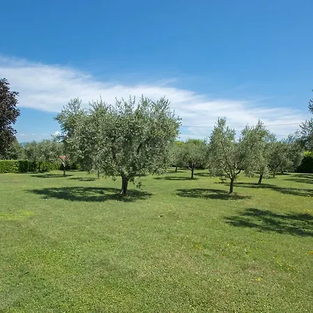 Degli Ulivi * Moniga del Garda